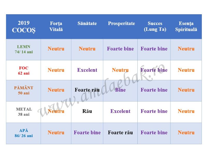 ElementeleNorocului COCOS 2019 - AMdaebak